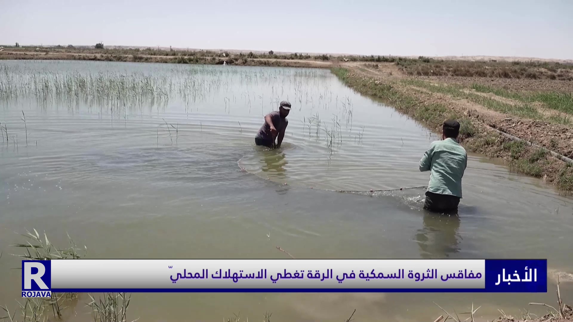 مفاقس الثروة السمكية في الرقة تغطي الاستهلاك المحليّ
