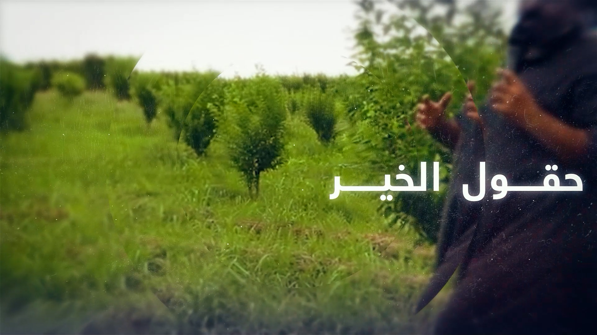 حقول الخير