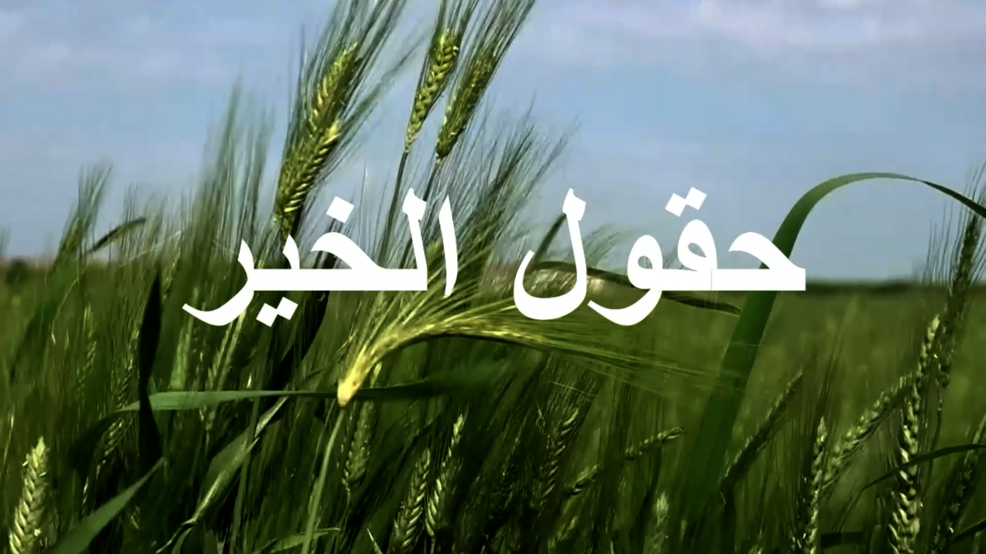 حقول الخير