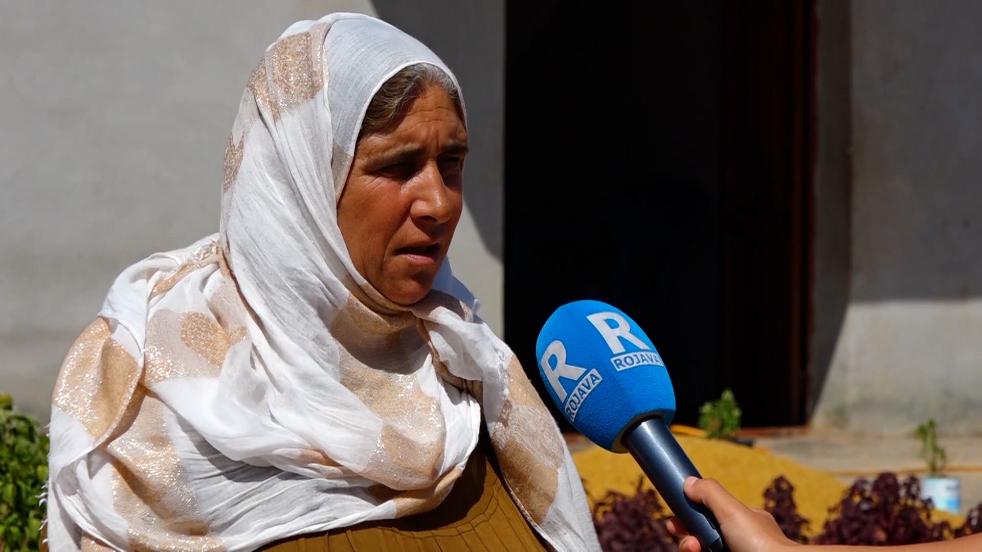DAYÎKÊN KOBANÊ DEST BI ÇÊKIRINA MÛNETA ZIVISTANÊ DIKIN