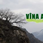 VÎNA AZAD