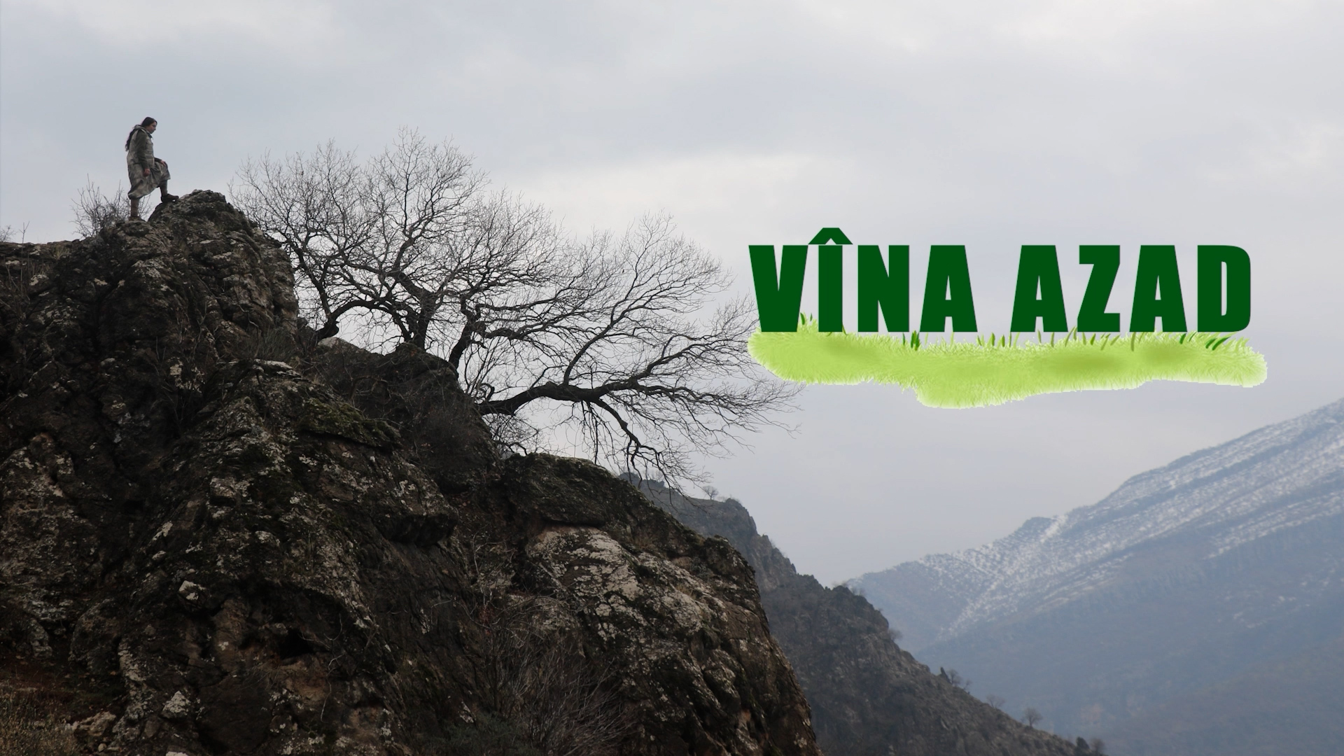 VÎNA AZAD
