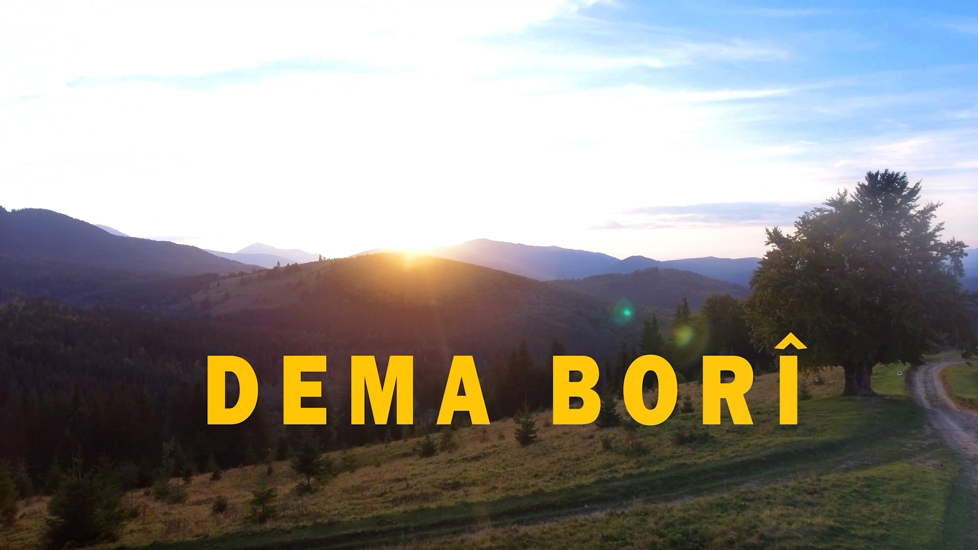 DEMA BORÎ